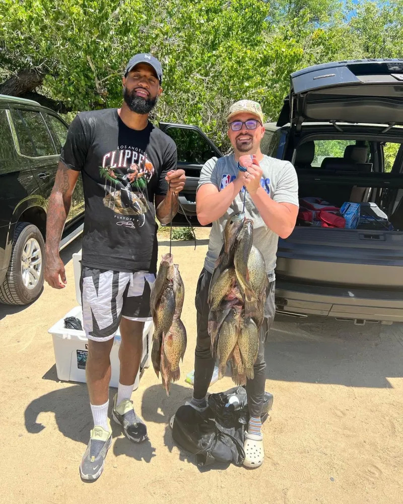 成为这一领 成为这一领