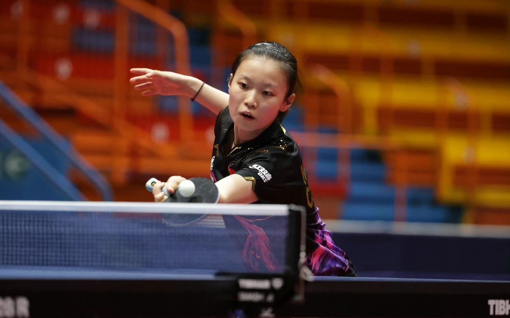 的训练环境 的训练环境